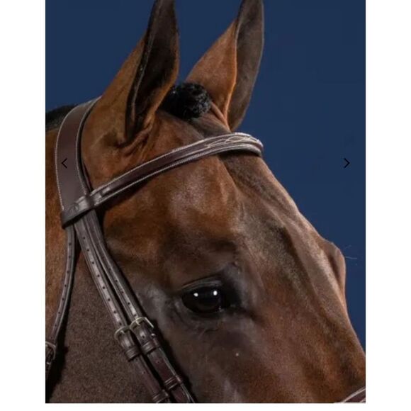 NWT Dy'on Fancy Stitched Cavesson Hunter Noseband Bridle In Brown - Picture 3 of 11